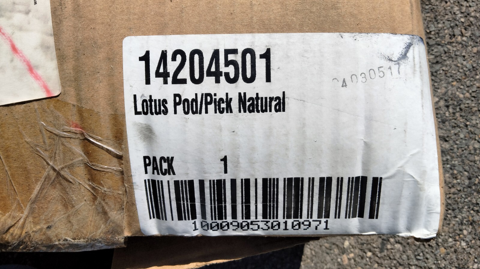 JOBLOT – 6″ Dried Lotus Pods On Pick Natural #14204501