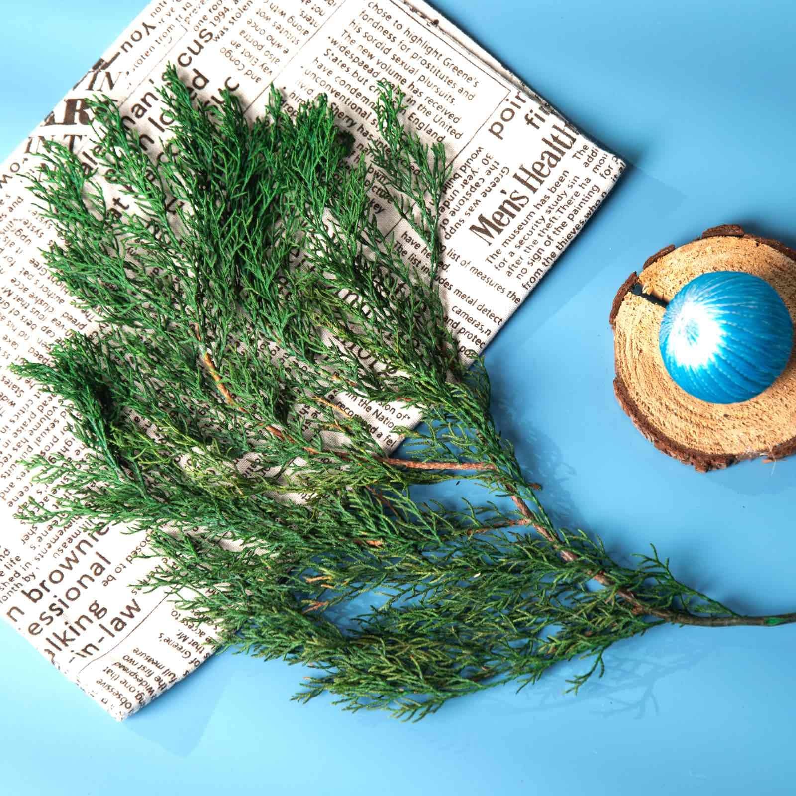 4OZ Preserved Real Pine Leaves Branches -17” Natural Greenery Plants Twigs S…