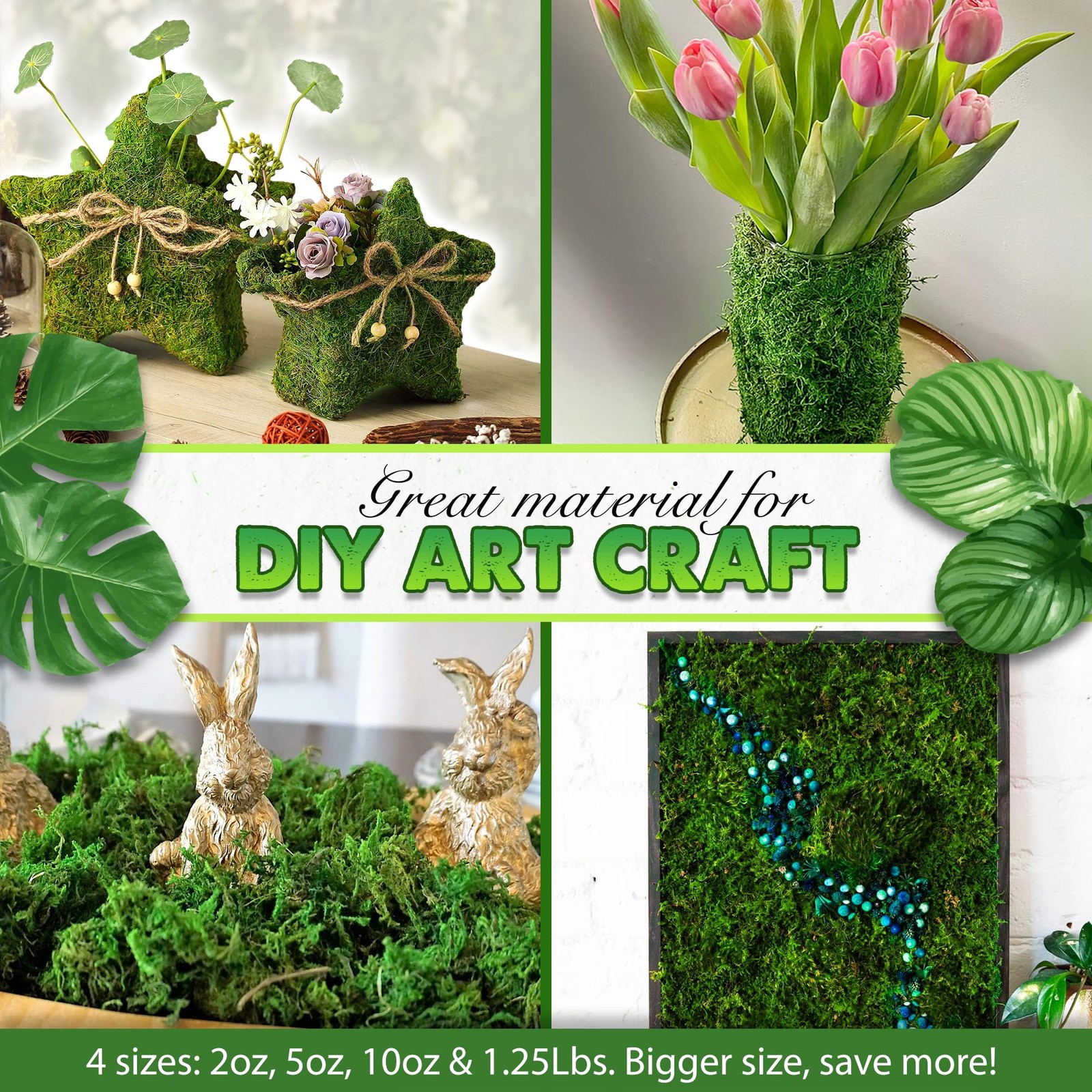 [Upgraded] Green Moss for Crafts, Real Forest Moss Potted Plants, Decorative …