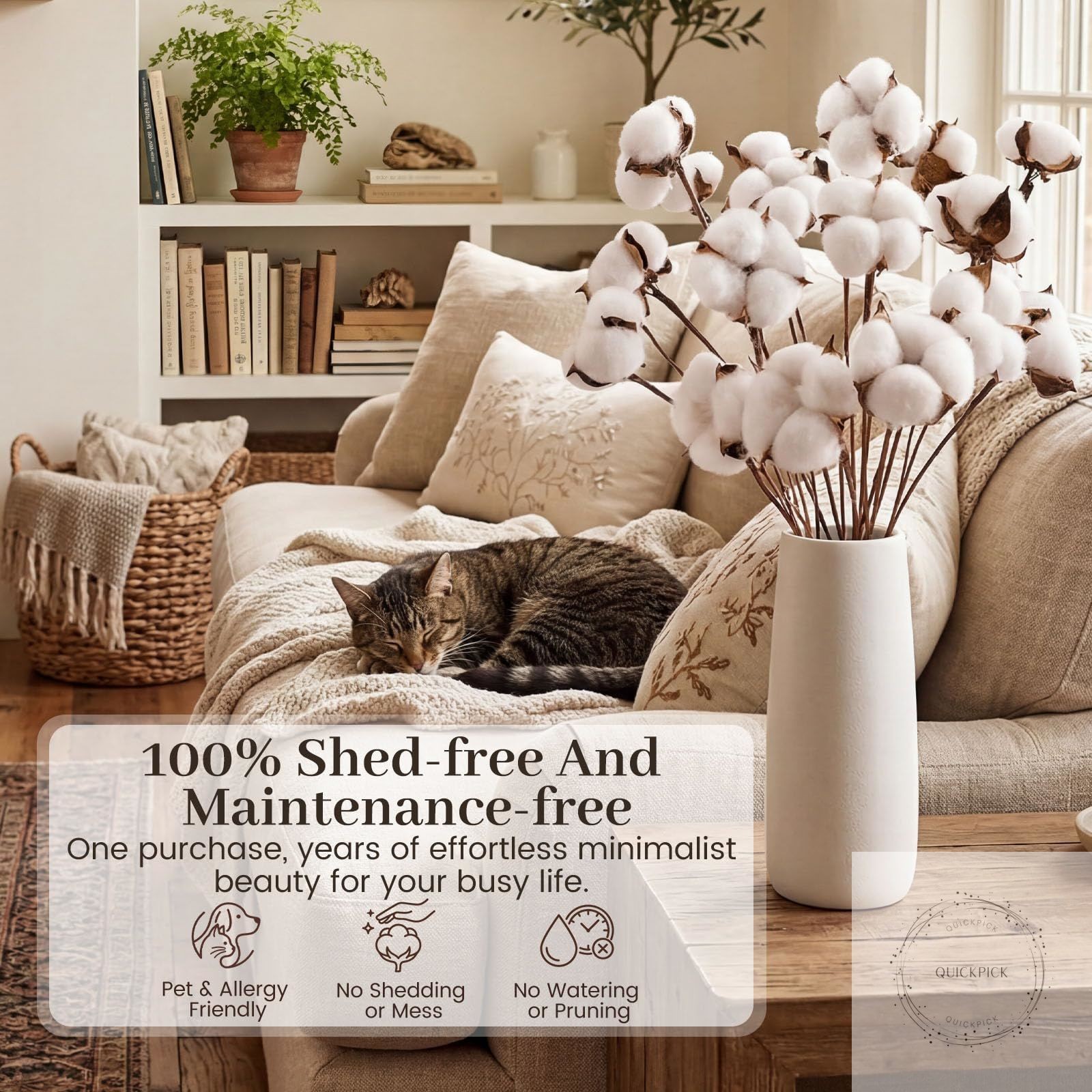 Cotton Stems 8 Packs with 15 Bolls, Natural Dried Flowers Cotton Sprigs for Vase