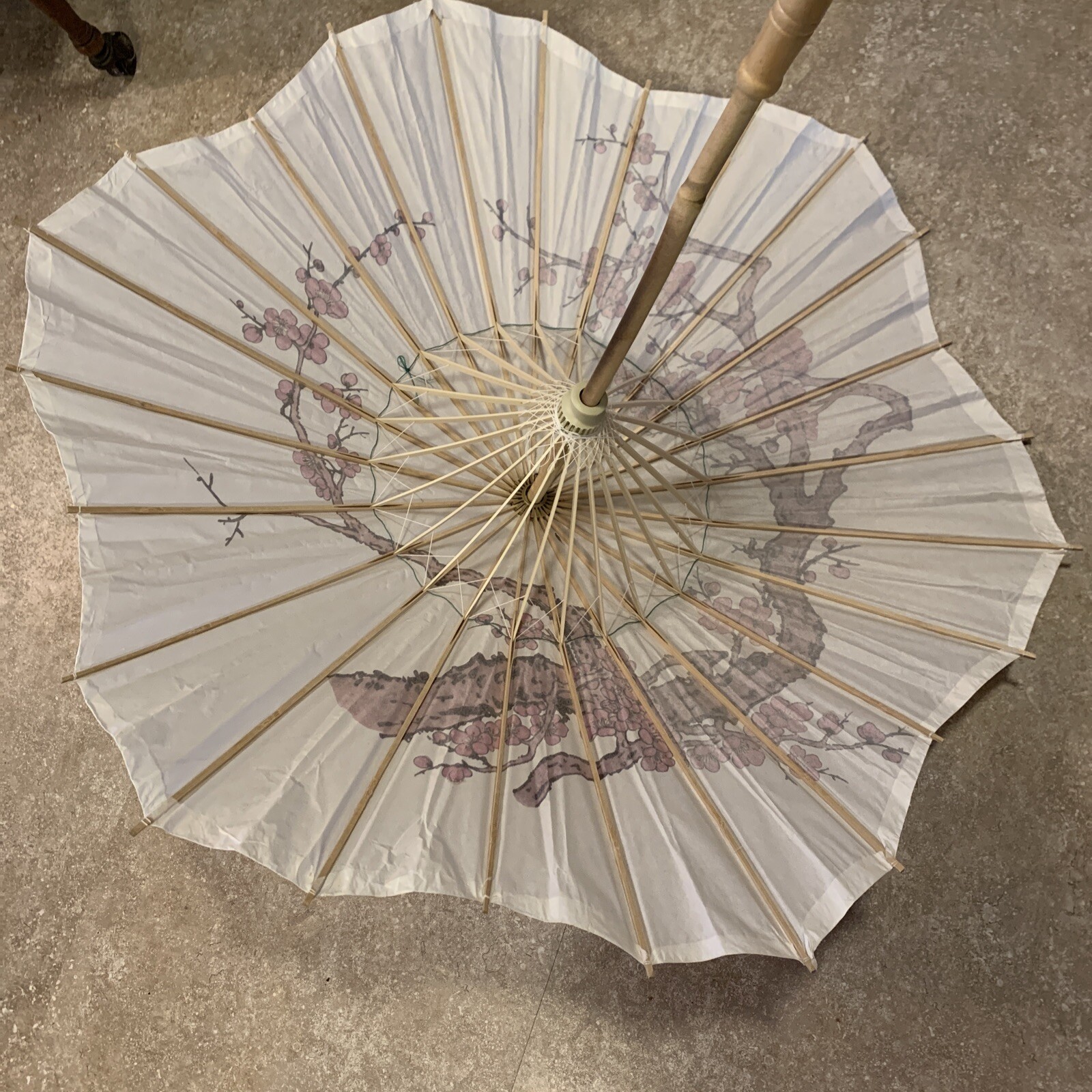 PARASOL WOOD RICE PAPER SCALLOPED CHERRY BLOSSOMS FLOWERS ABOUT 24 Inches Tall