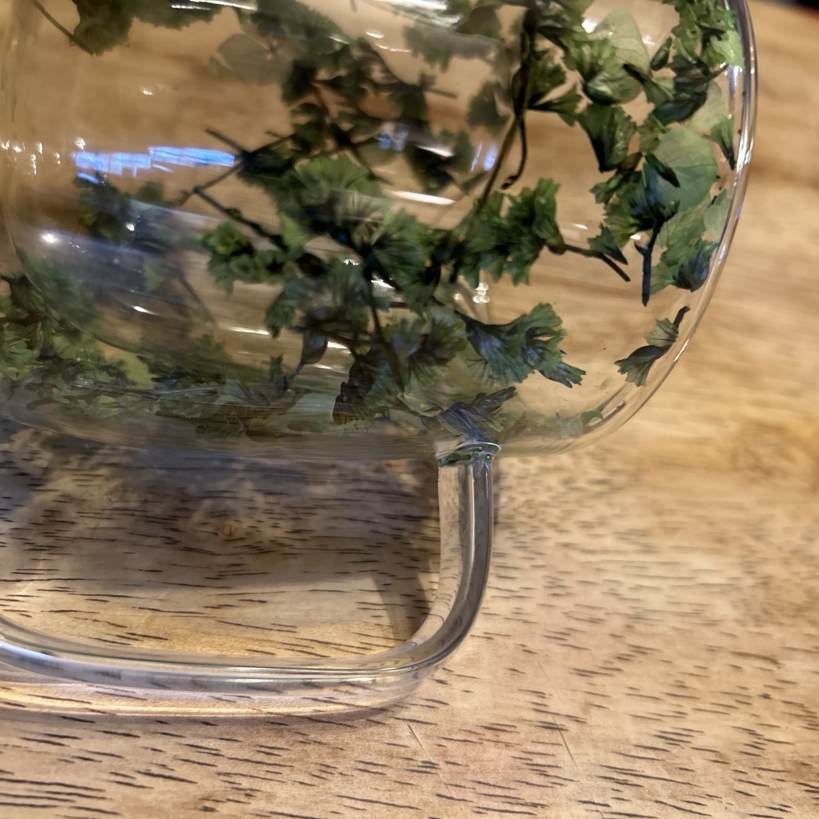 Dried Flower Glass Mug – Double Wall Clear Coffee Tea Cup – Botanical Floral