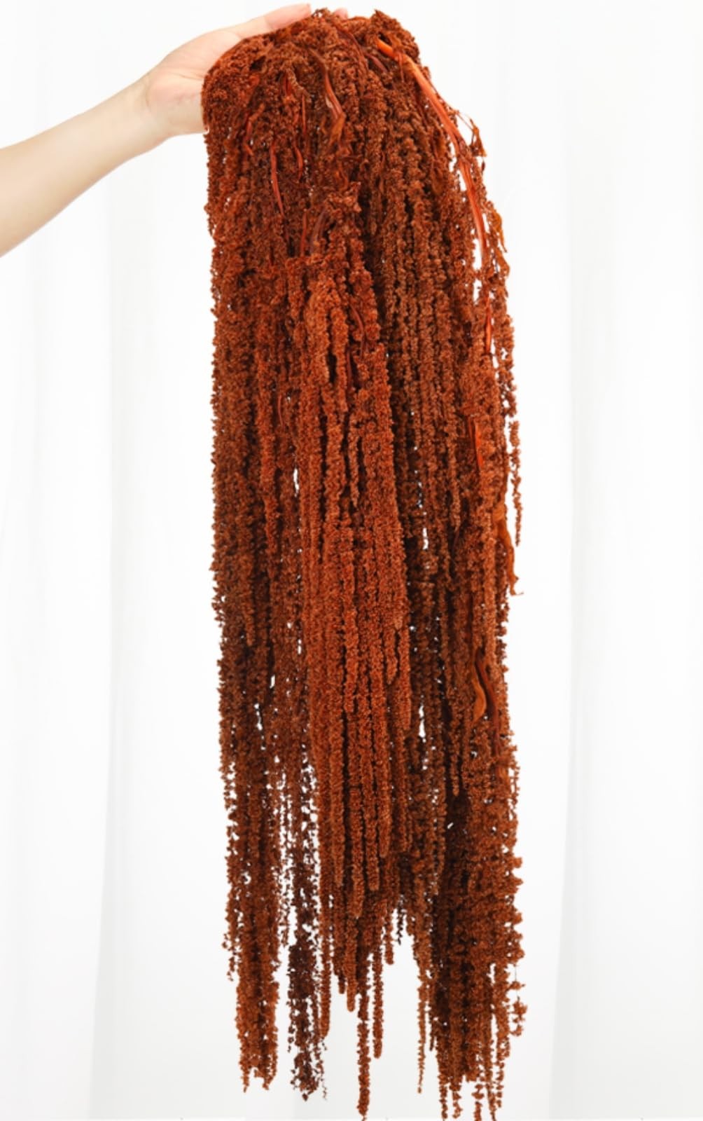 5Pcs Dried Amaranthus Hanging Flowers, Natural Preserved Flower for Wedding A…
