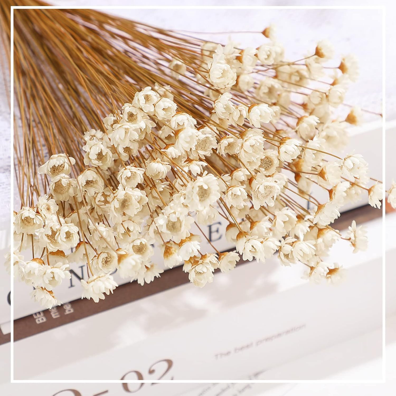 500 Pcs Natural Dry Flowers Mini Chamomile Small Star Daisy Dried Flowers Decora
