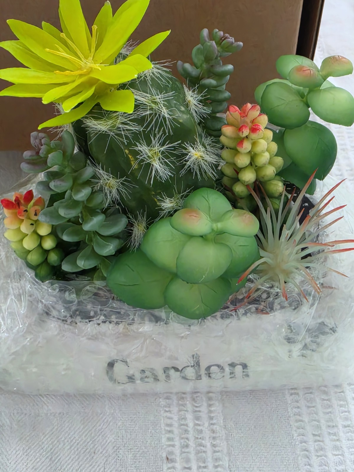 Arnore Florals Artificial Succulent & Cactus Garden Planters Set of 2 4in