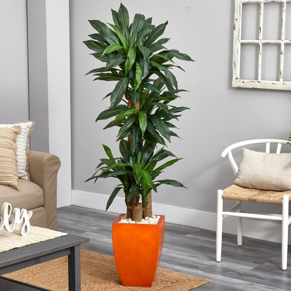 Real Touch 5.5 Ft. Artificial Indoor Dracaena Plant in Orange Square Planter