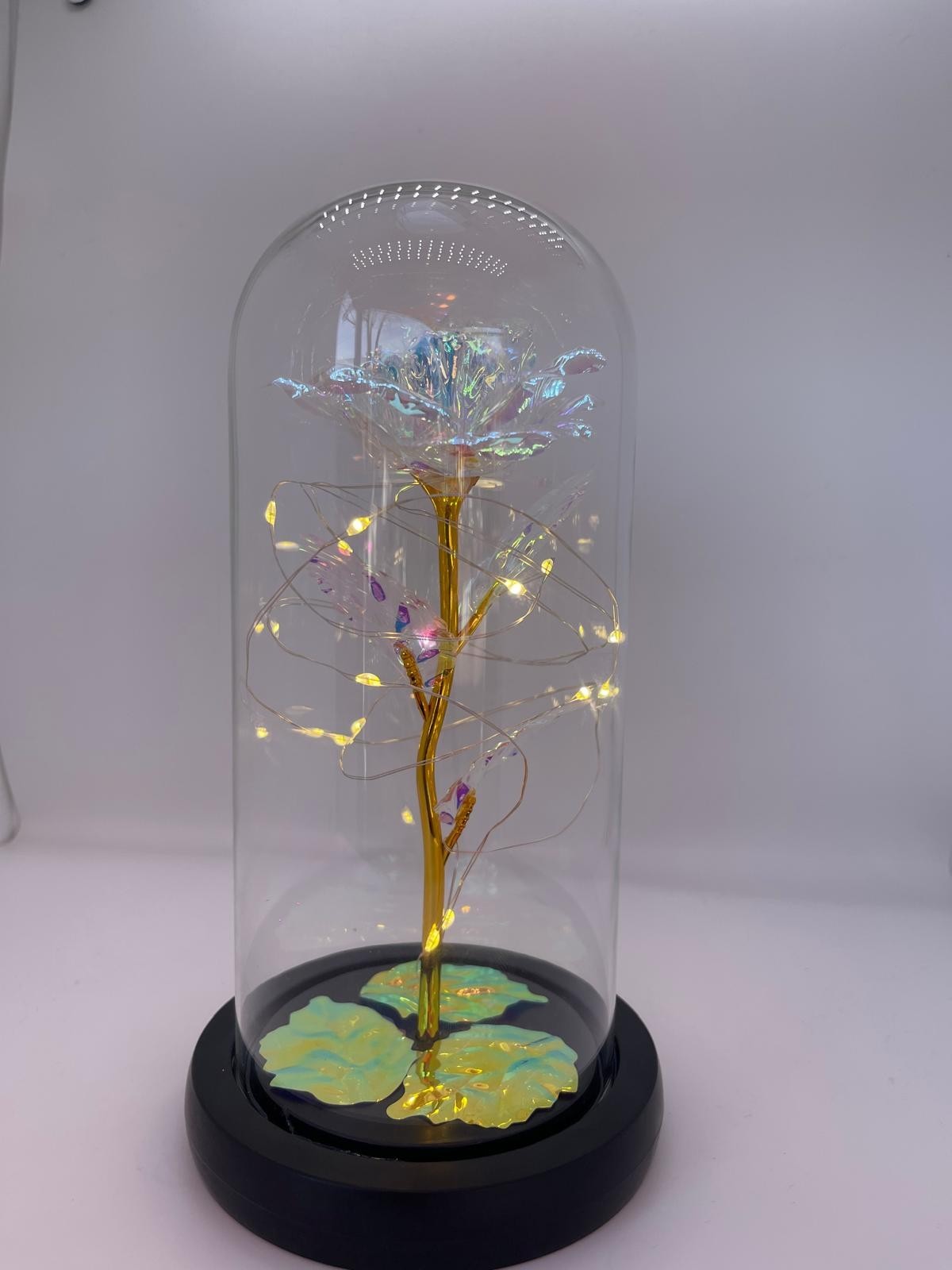 Eternal rose in a transparent dome with LED light. Valentine’s Day Gift