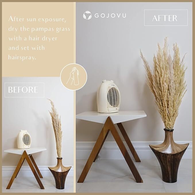 Pampas Grass Decor Tall 45 Inches 10 Stems of Dried Large Pampas Grass No Stench