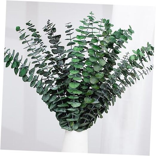 16 Pcs Dried Eucalyptus Stems, 17” Natural Fresh Eucalyptus Leaves Green