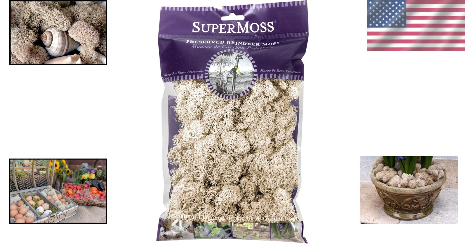 Natural Preserved Reindeer Moss, 120 cu in – Eco-Friendly Home Decor Essential