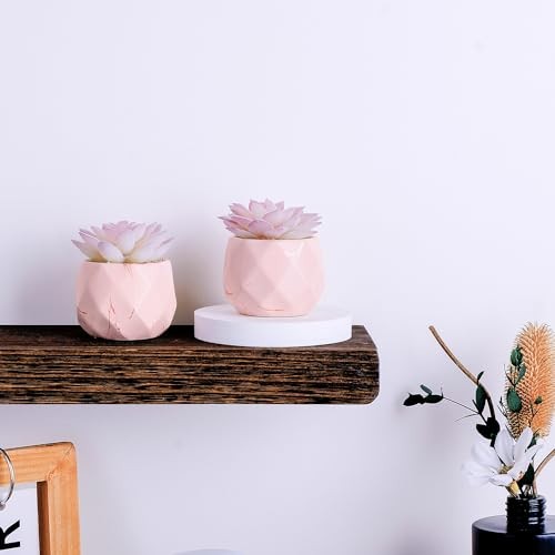 Artificial Succulent Plants in 2 Ceramic Pots, Cute Fake Plants for Vanity Pink
