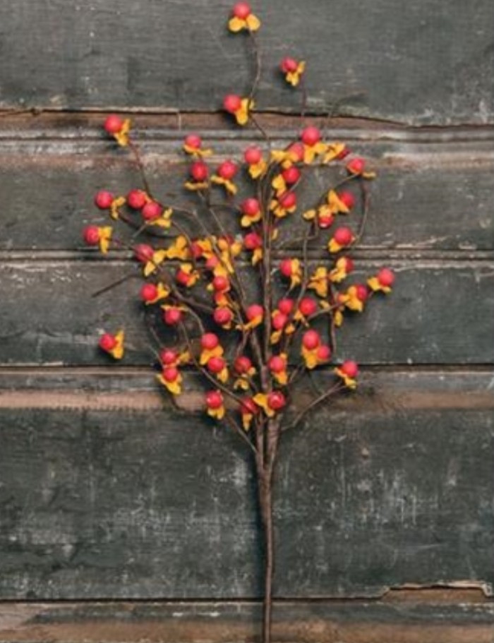 18″ Bittersweet Floral Pick Decor