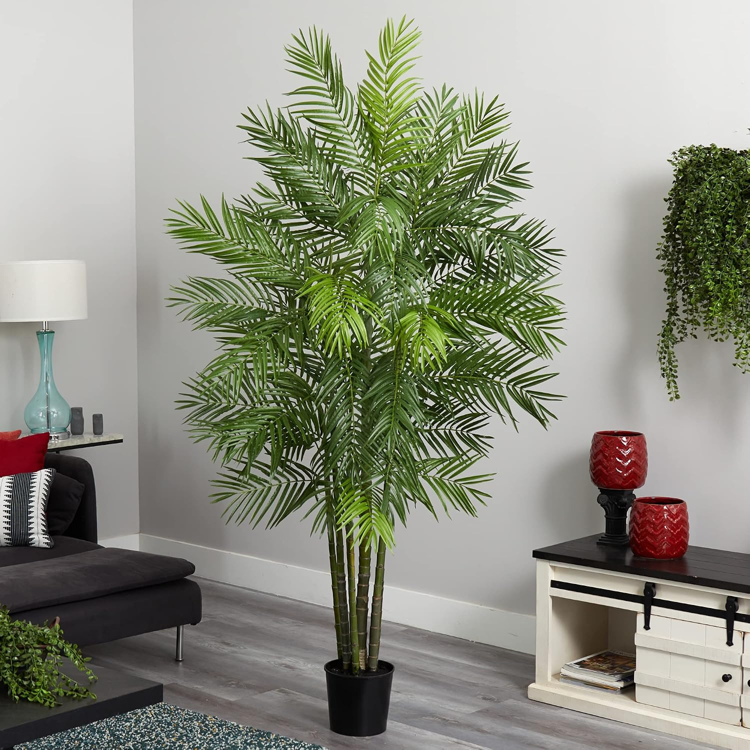 6Ft. Areca Palm Silk Tree