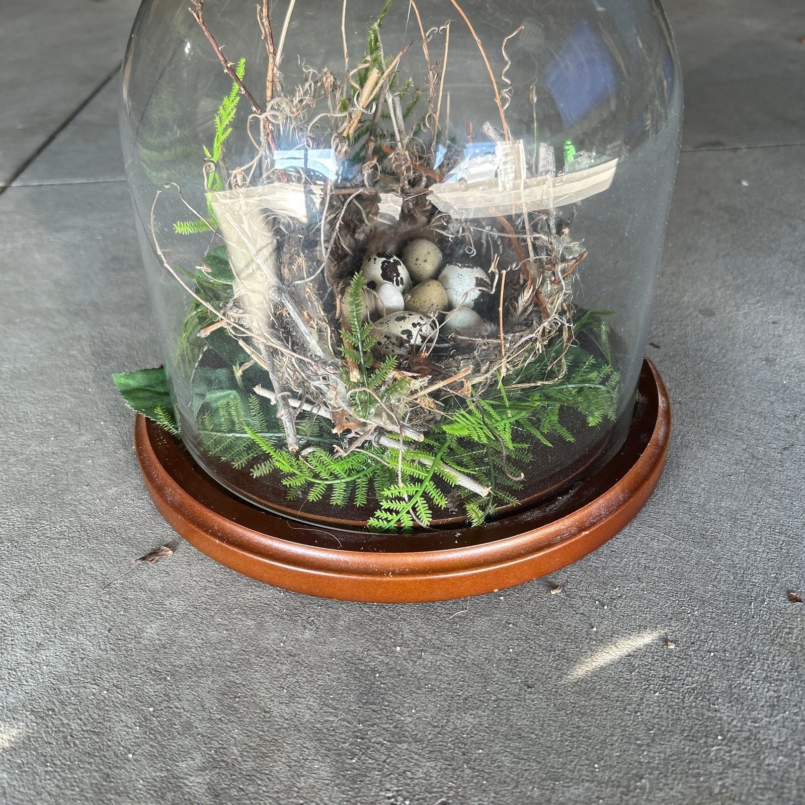 Handcrafted Bird Nest Terrarium Cloche with Faux Speckled Eggs and Forest Greene