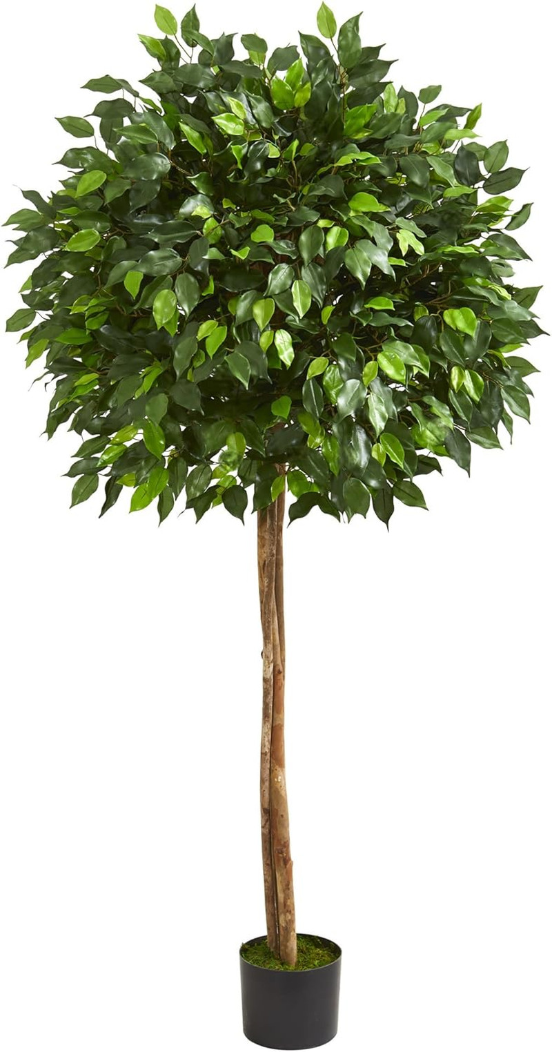 Lifelike 5.5Ft Ficus Artificial Tree – Perfect Indoor Décor for Any Space