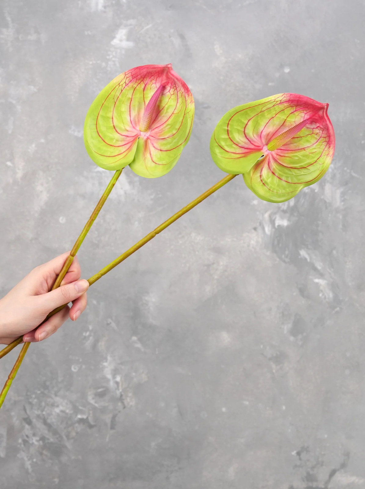 24″ Real Touch Faux Anthurium – Green | Artificial Flower | Decoration