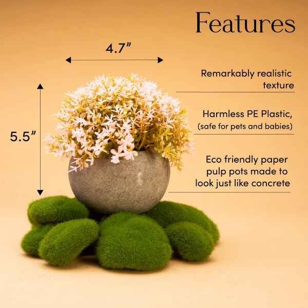 Artificial Succulent Plants Set of 3 Round Concrete Look Pot 5.5″x4.7″ Each