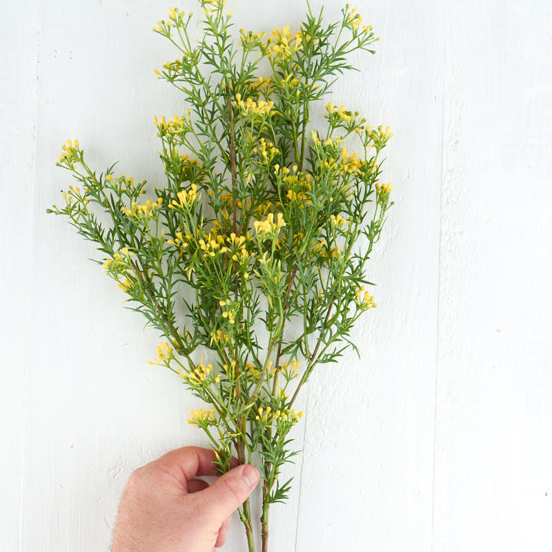 Long Stem Artificial Yellow Seed Grass Sprays – 2 Sprays