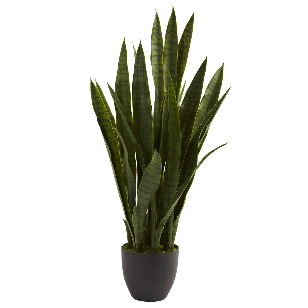 Sansevieria Silk Plant w/ Black Planter