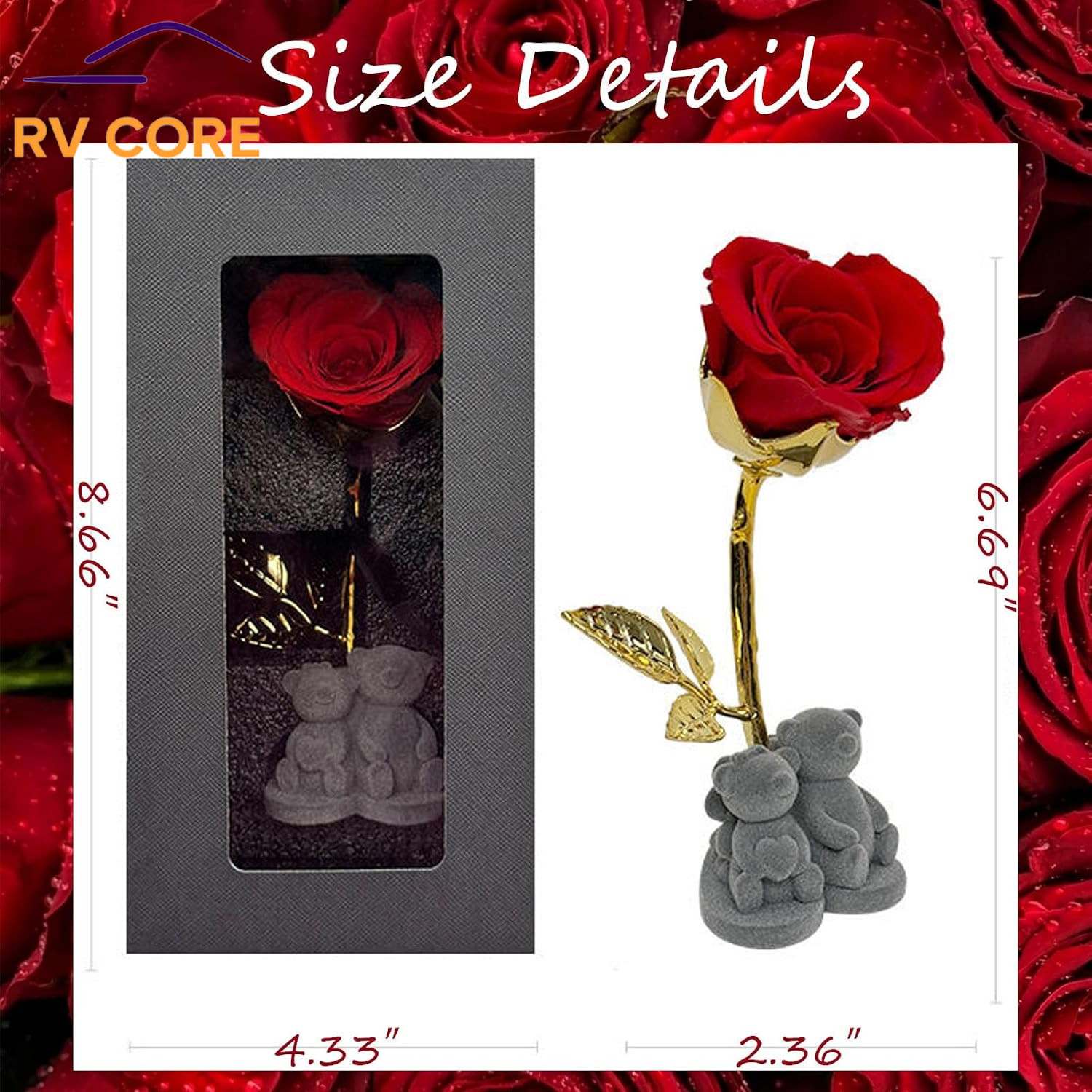 Preserved Rose Bear Gift with Brooch for Mom Wife Girlfriend Valentine’s Day