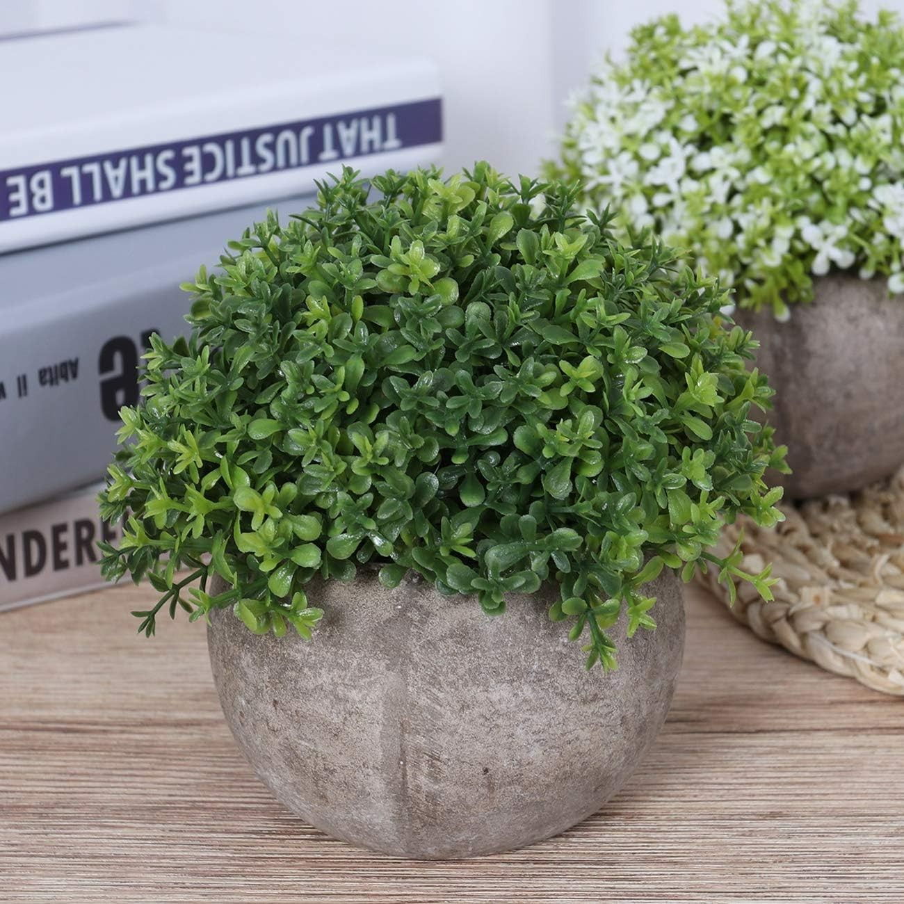 Elegant Mini Faux Plants in Ceramic Pots – Perfect for Home & Office Decor