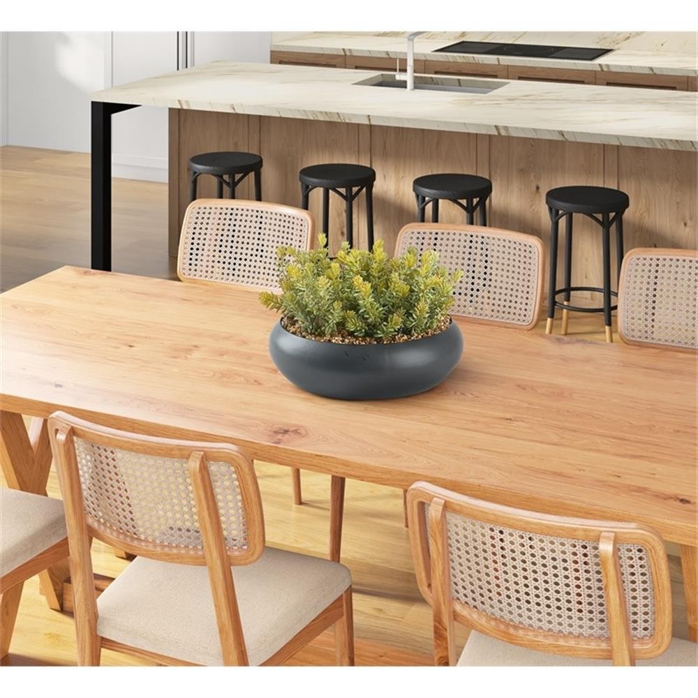 Pemberly Row Contemporary Flocked Succulents in Black Simply Low Bowl