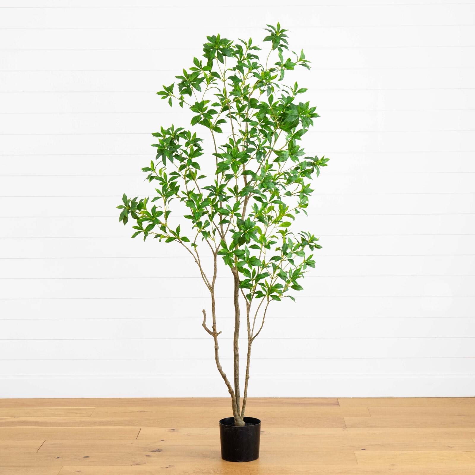 7’ Artificial Minimalist Japanese Pieris Tree w/Real Touch Leaves. Retail $309