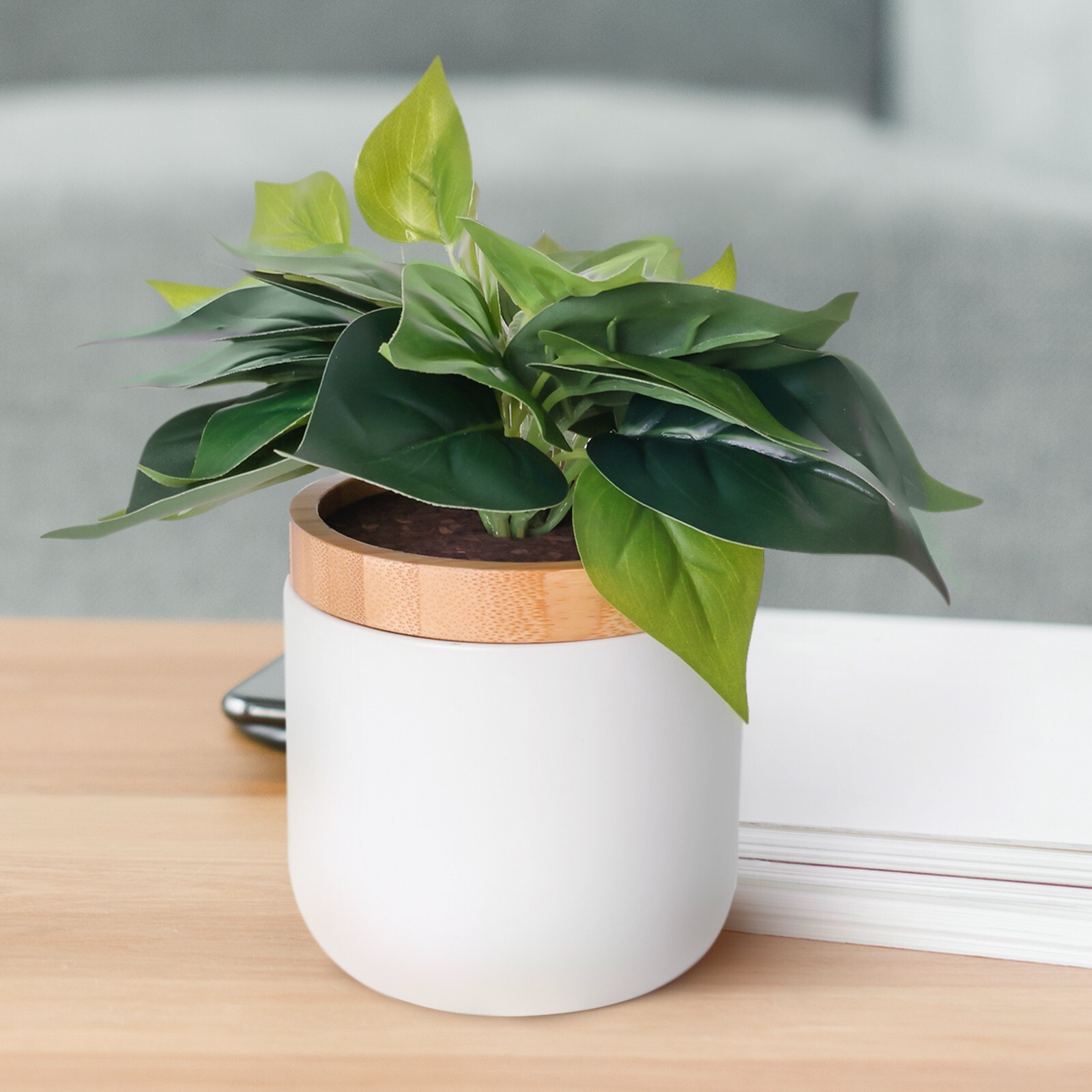 Decorative Plant Storage Jar | Great For: Office, Desk, Pet Treats, Gift, Etc.