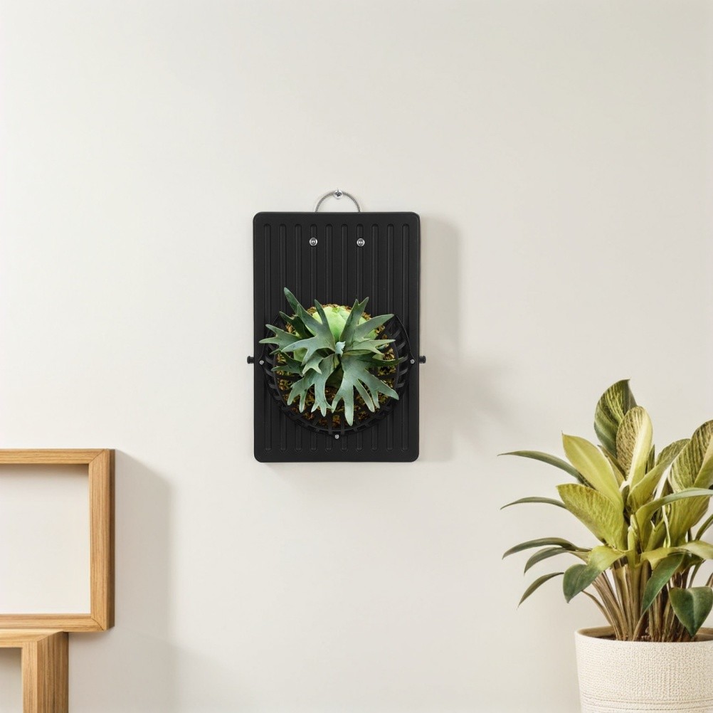 Fern Mounting Board: Wall Hanging Planter for Stag Horn Fern – Vertical Plant