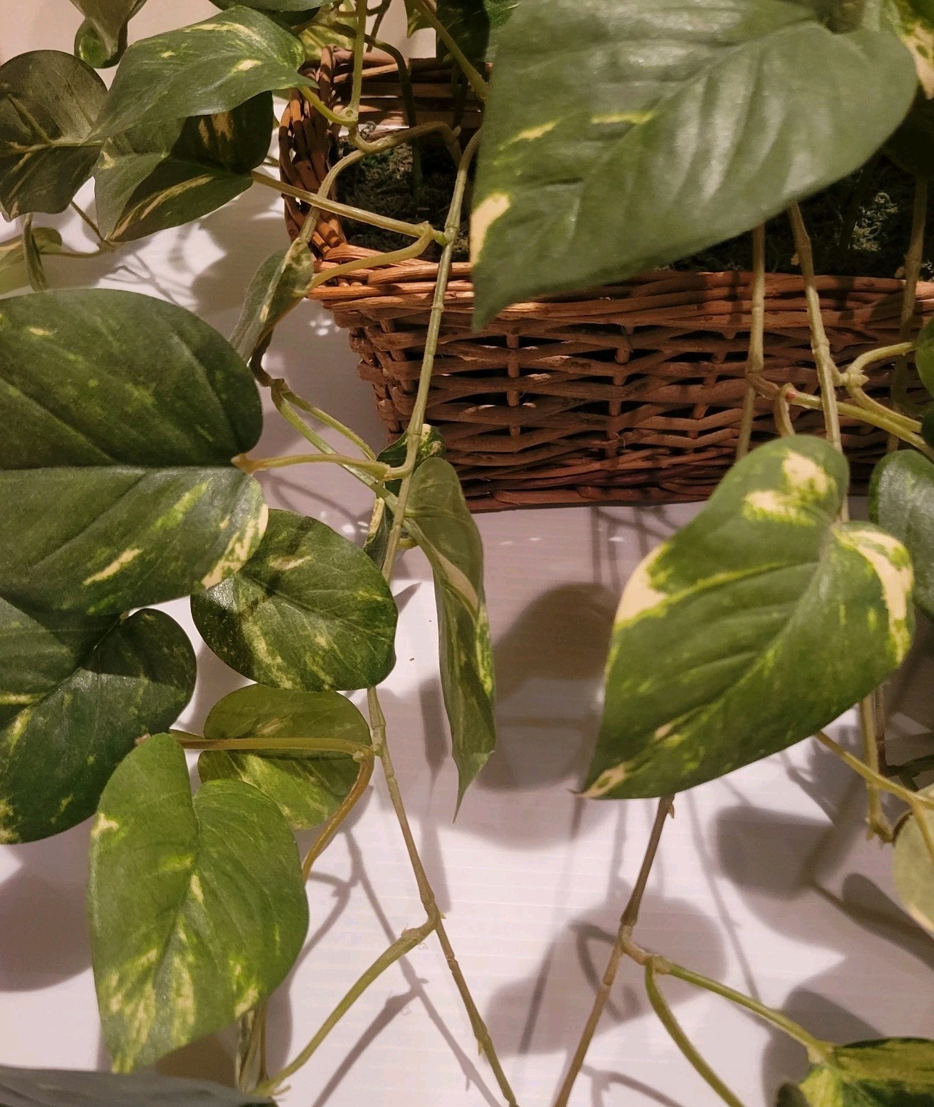 Indoor Faux Artificial Ivy Pothos Plant In Wicker Ledge Basket