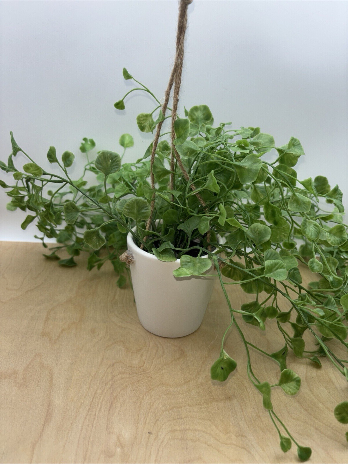 Hanging Plant Artificial Hanging Plant Indoor Outdoor 3-1/2 White Ceramic Pot