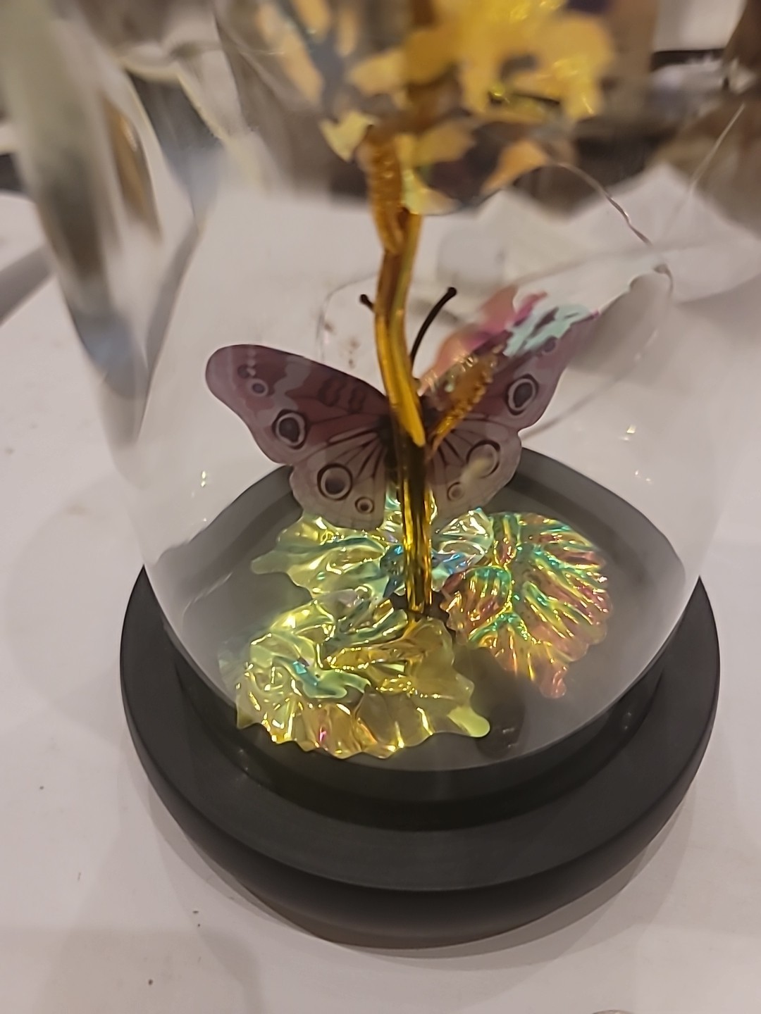 Modern Expressions Light-Up Dome Rose Butterfly Flower LED Walgreens 2024 NWT