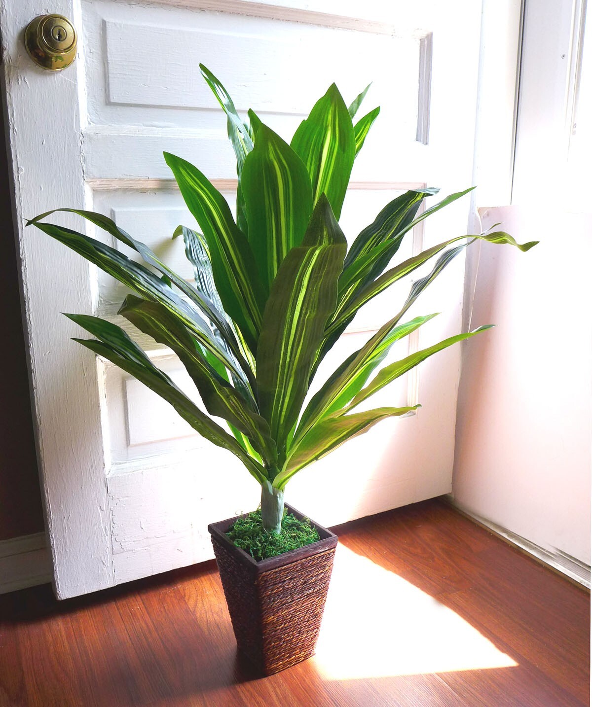 40″ Height Artificial Palm Plant ( with pot) 35 leaves tree Carnauba
