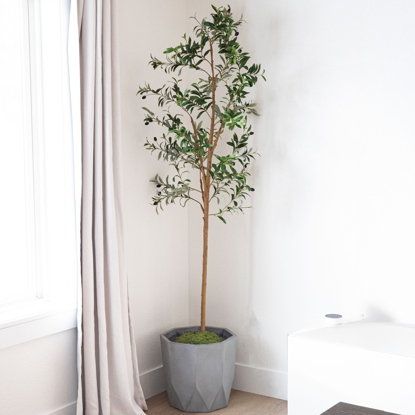 7-Foot Tall Indoor Fake Olive Tree with Pot – Set of 2 by Sunnydaze