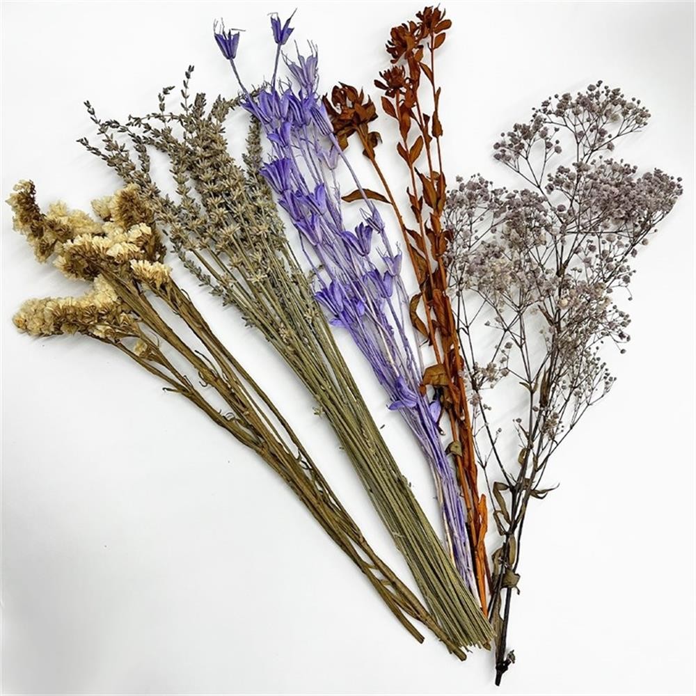 Pemberly Row 10-inch High Real Preserved Mixed Bouquets in Small Size