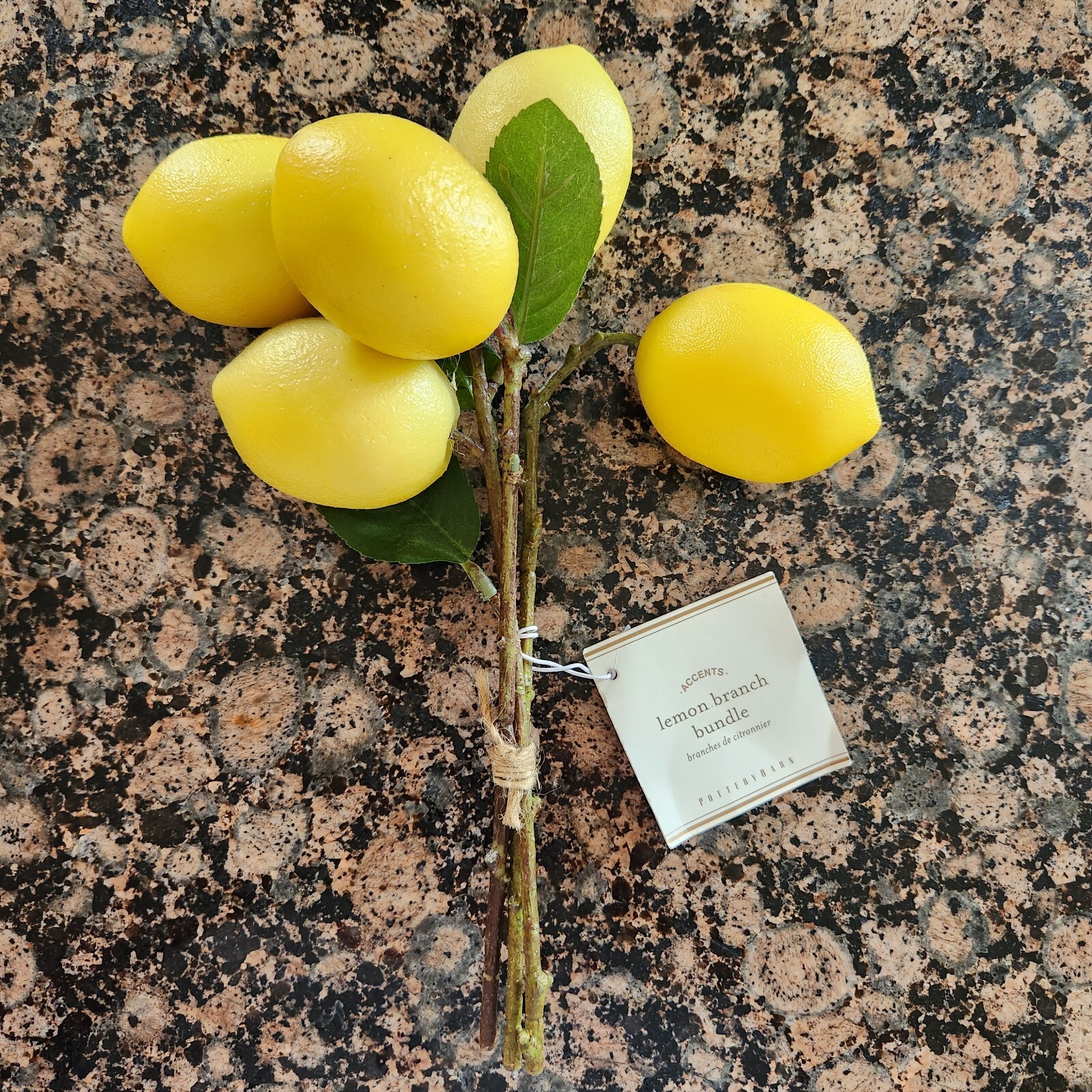 RARE NEW Pottery Barn Faux Lemon Pick Stems Leaves bundle
