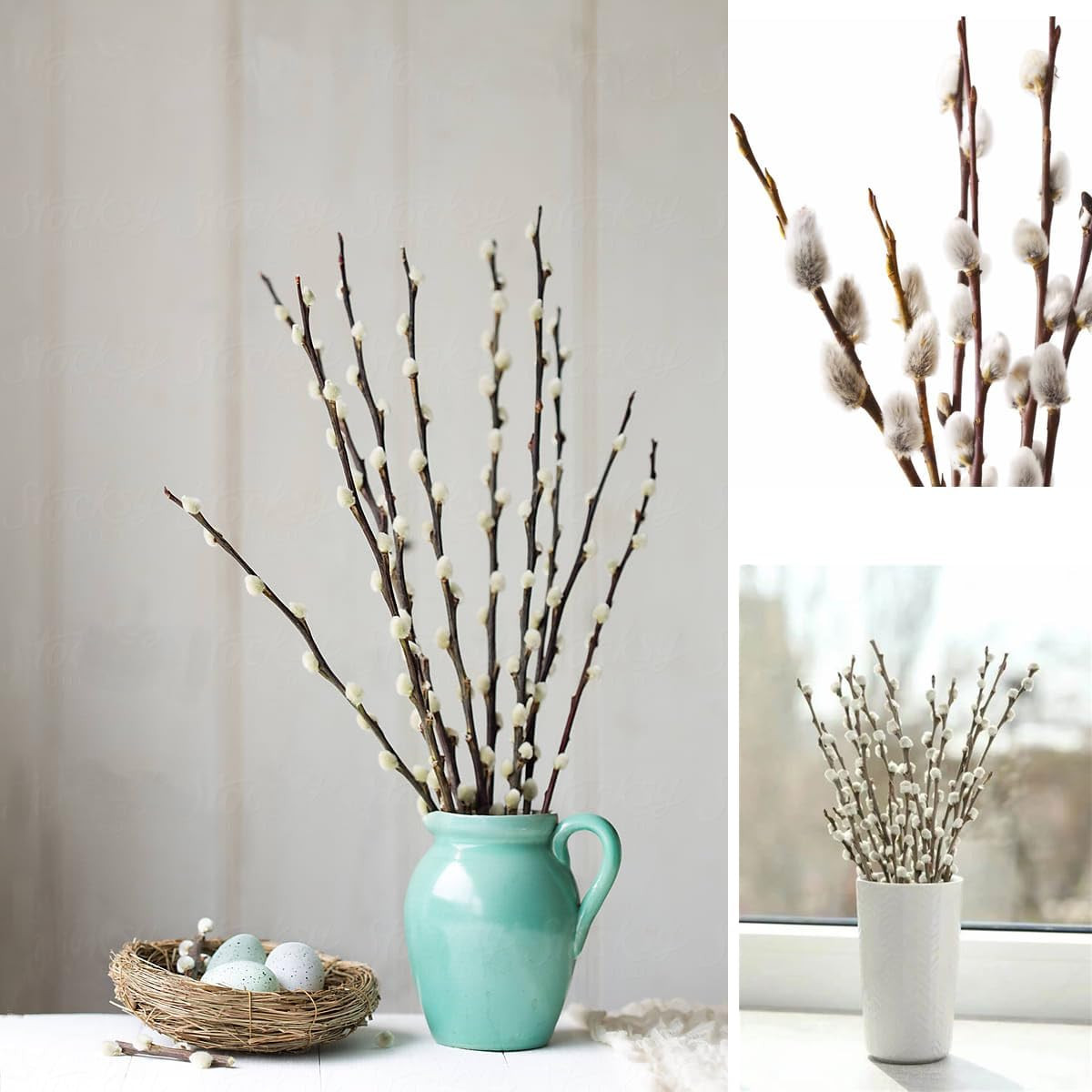 30 Branches Pussy Willow Branches for Vases 23 Inches Natural Dried Pussy Willow