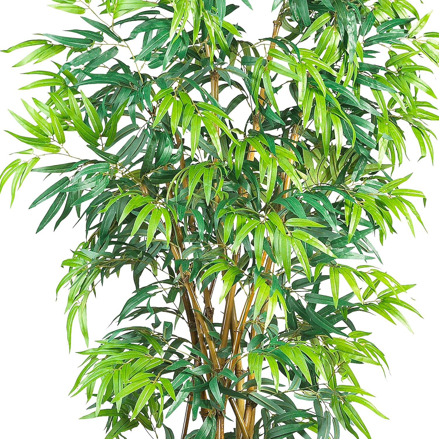 Lifelike 6Ft Curved Bamboo Silk Tree – Perfect for Home or Office Decor