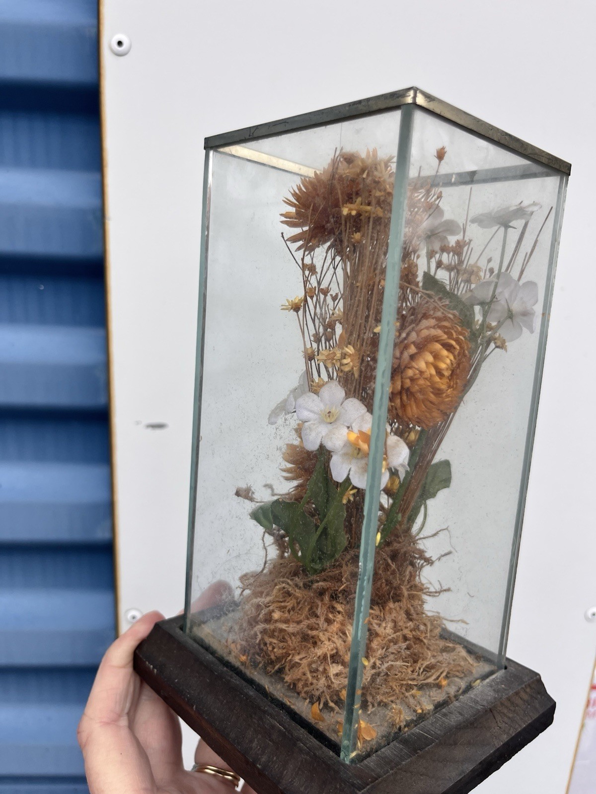 Vintage Dried Floral Terrarium Wood Display Case Boho Whimsy Leonard Creations