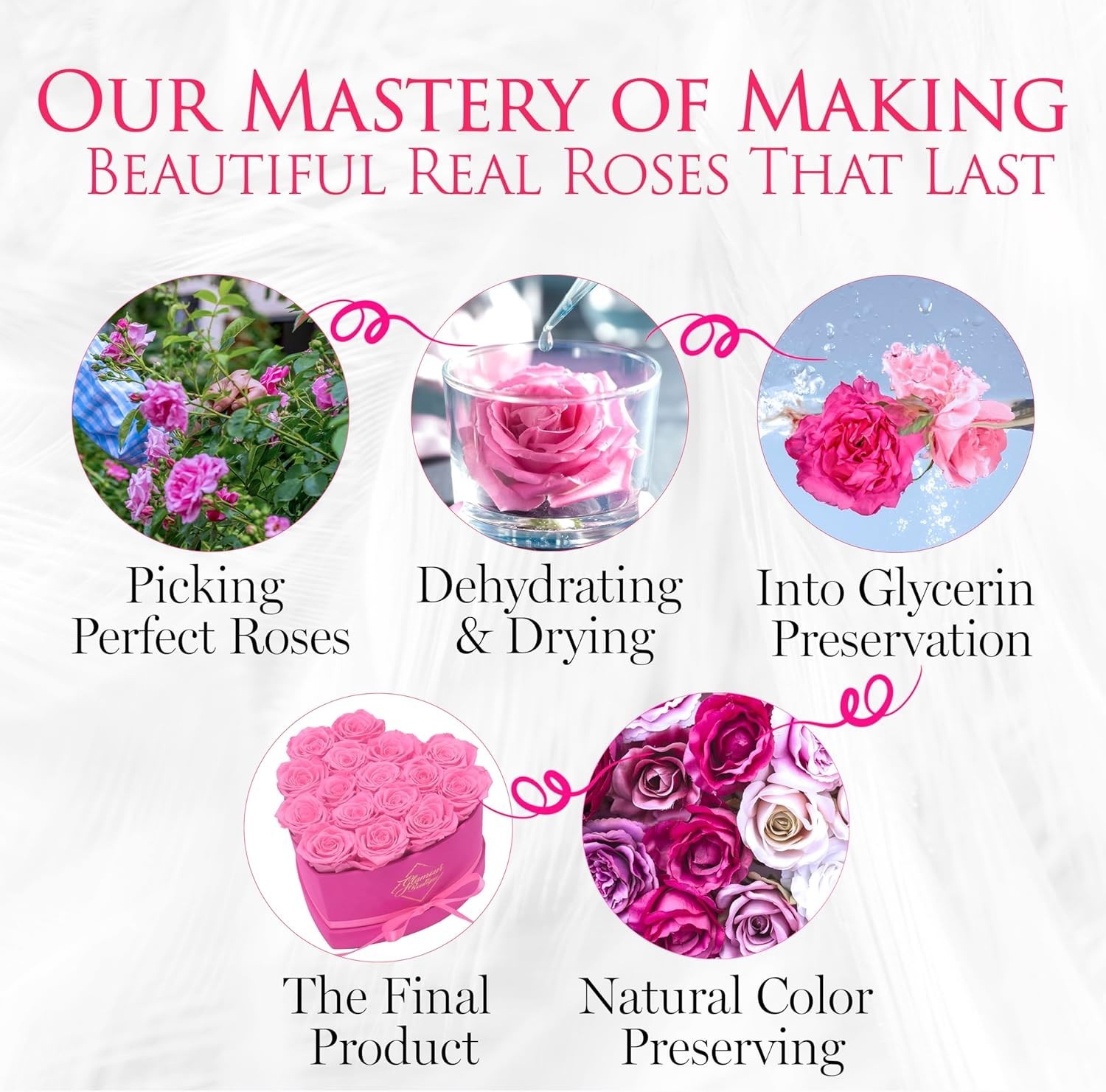 16 Eternal Preserved Roses in Velvet Pink Heart Box – Perfect Mother’s Day Gift
