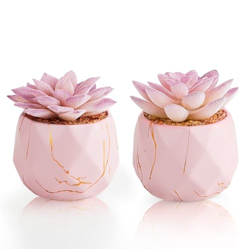 Artificial Succulent Plants in 2 Ceramic Pots, Cute Fake Plants for Vanity Pink