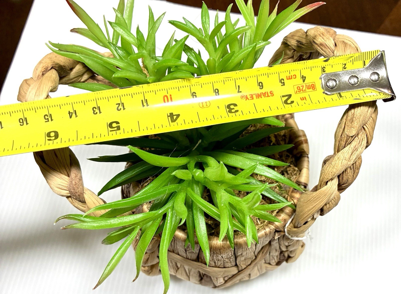 Artificial Faux Succulent Potted Plant In Basket Home Office Shelf Decor