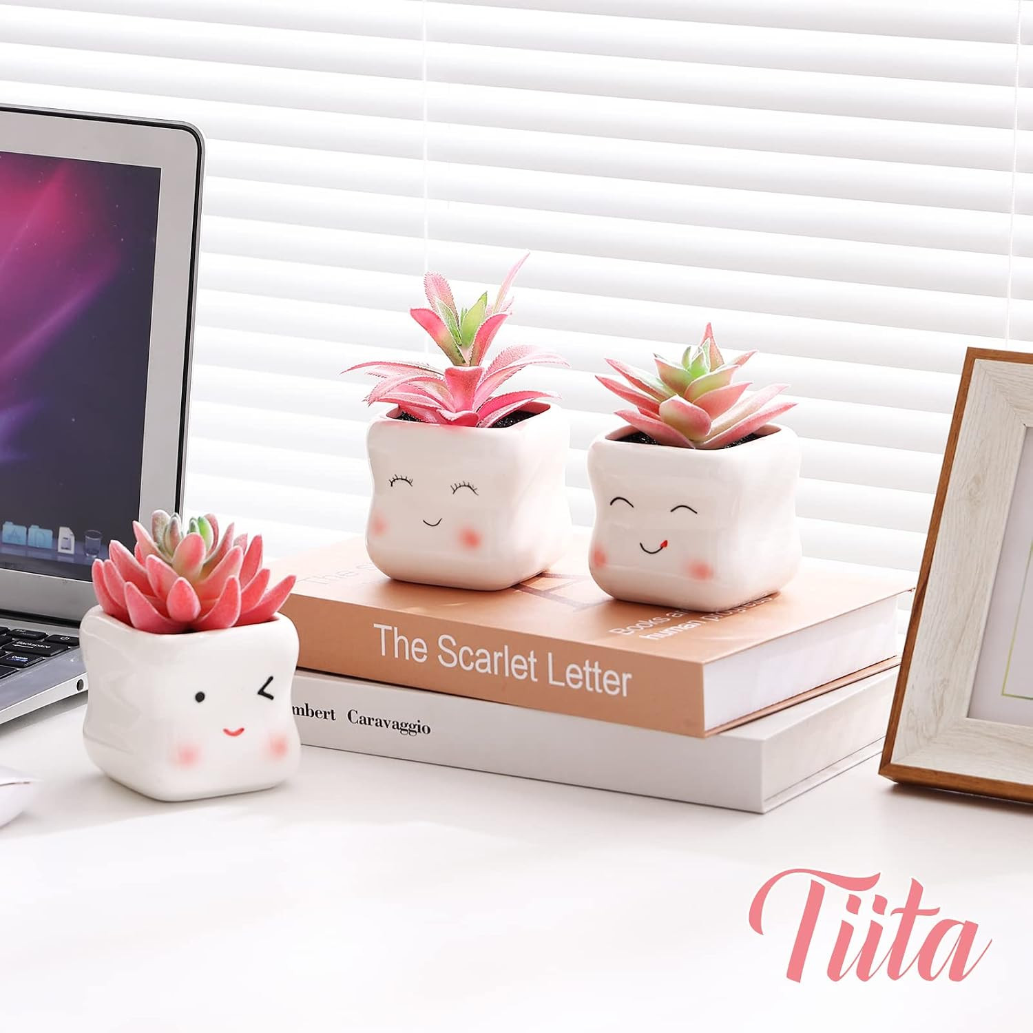Adorable Mini Faux Succulents in Pots for Home Office Decor and Accessories