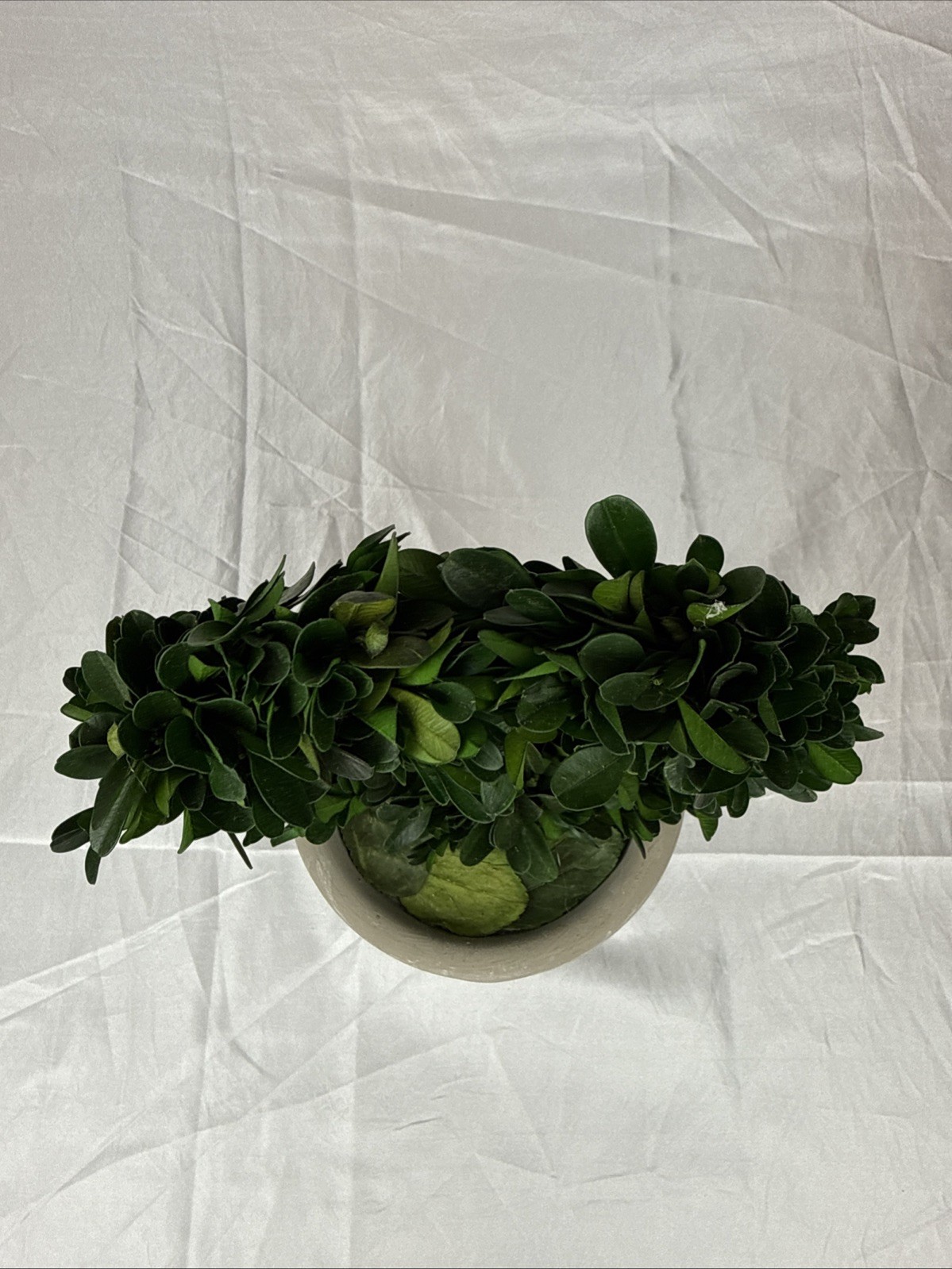 Artificial 12″ Green Boxwood Topiary Circular Wreath In Rustic Grey Ceramic Pot