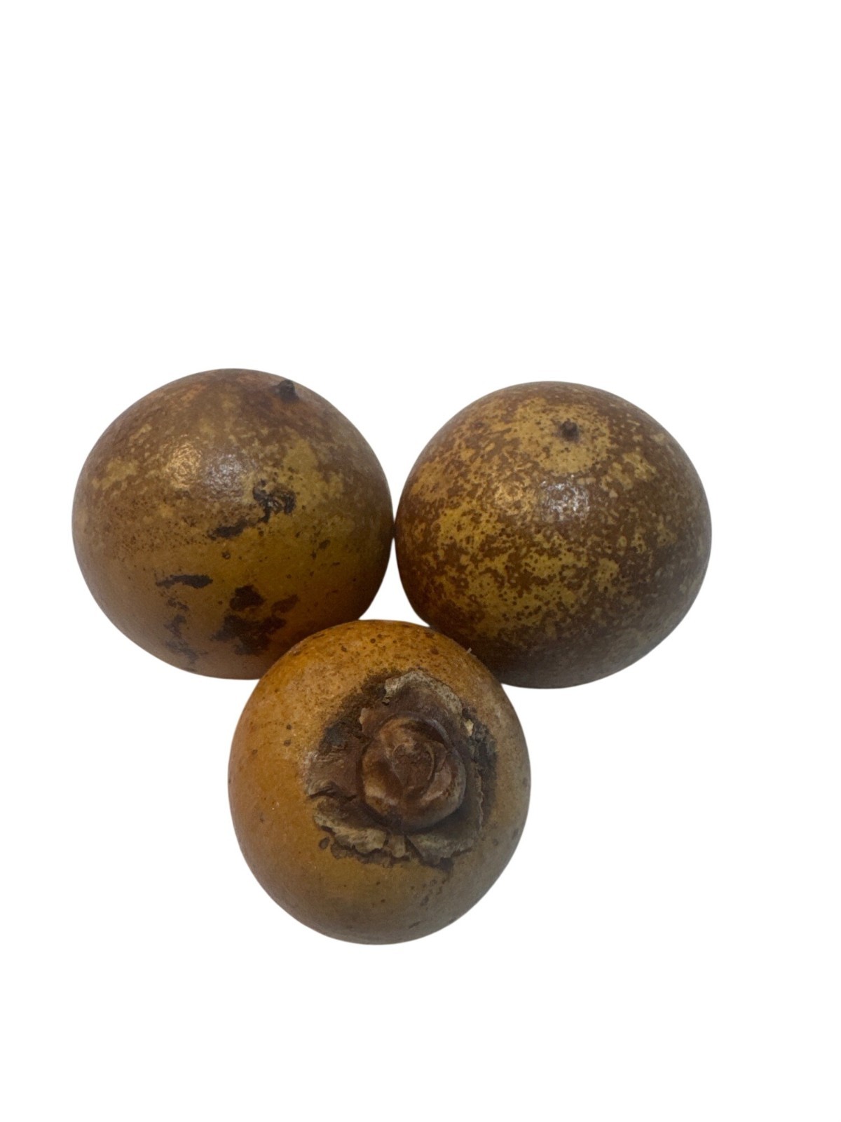 Decorative Natural Dried Brown Seed Pods Textured Set Of 5 Rustic Bowl Filler
