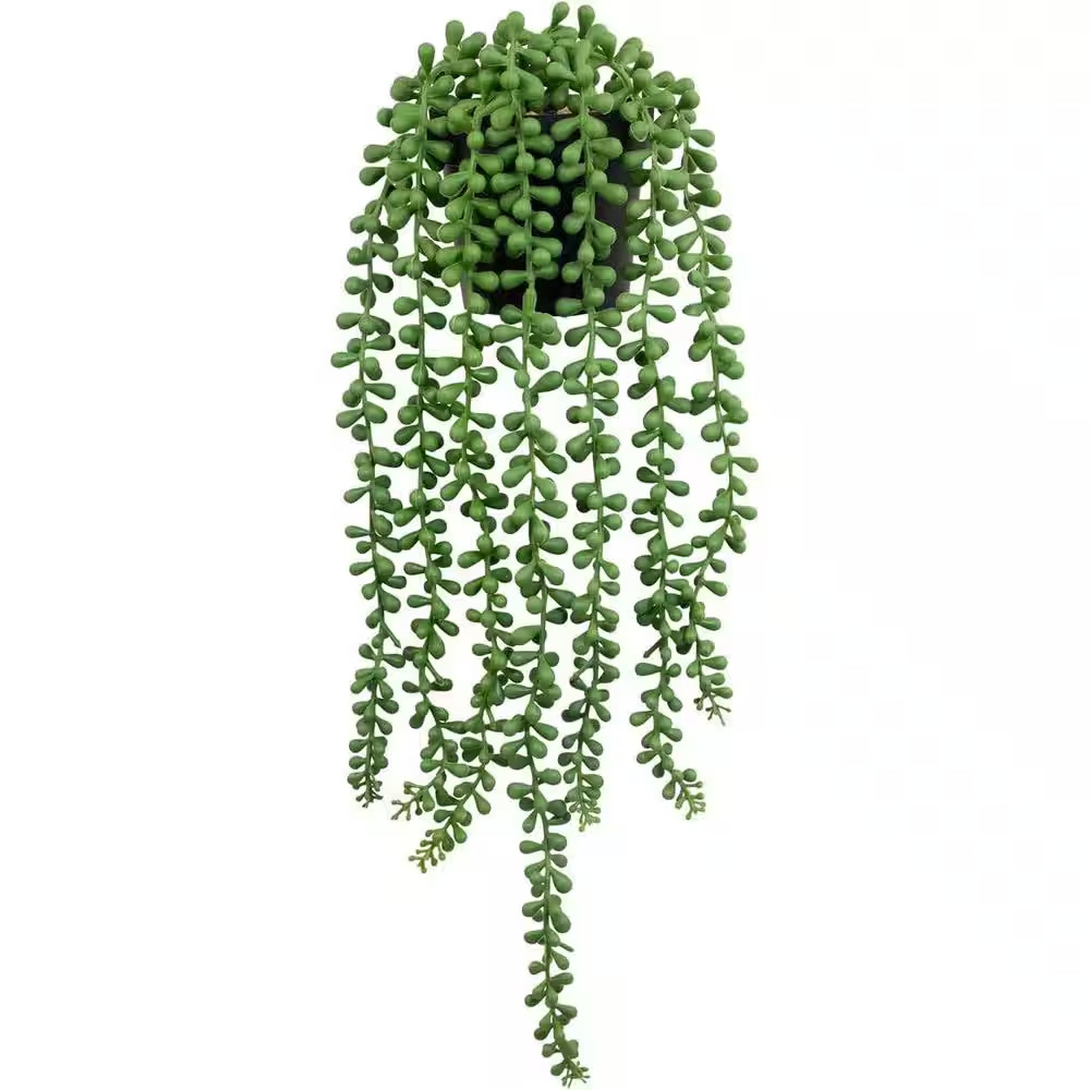 16.5 In. Green Indoor Artificial String of Pearls Plant with Black Pot Realistic
