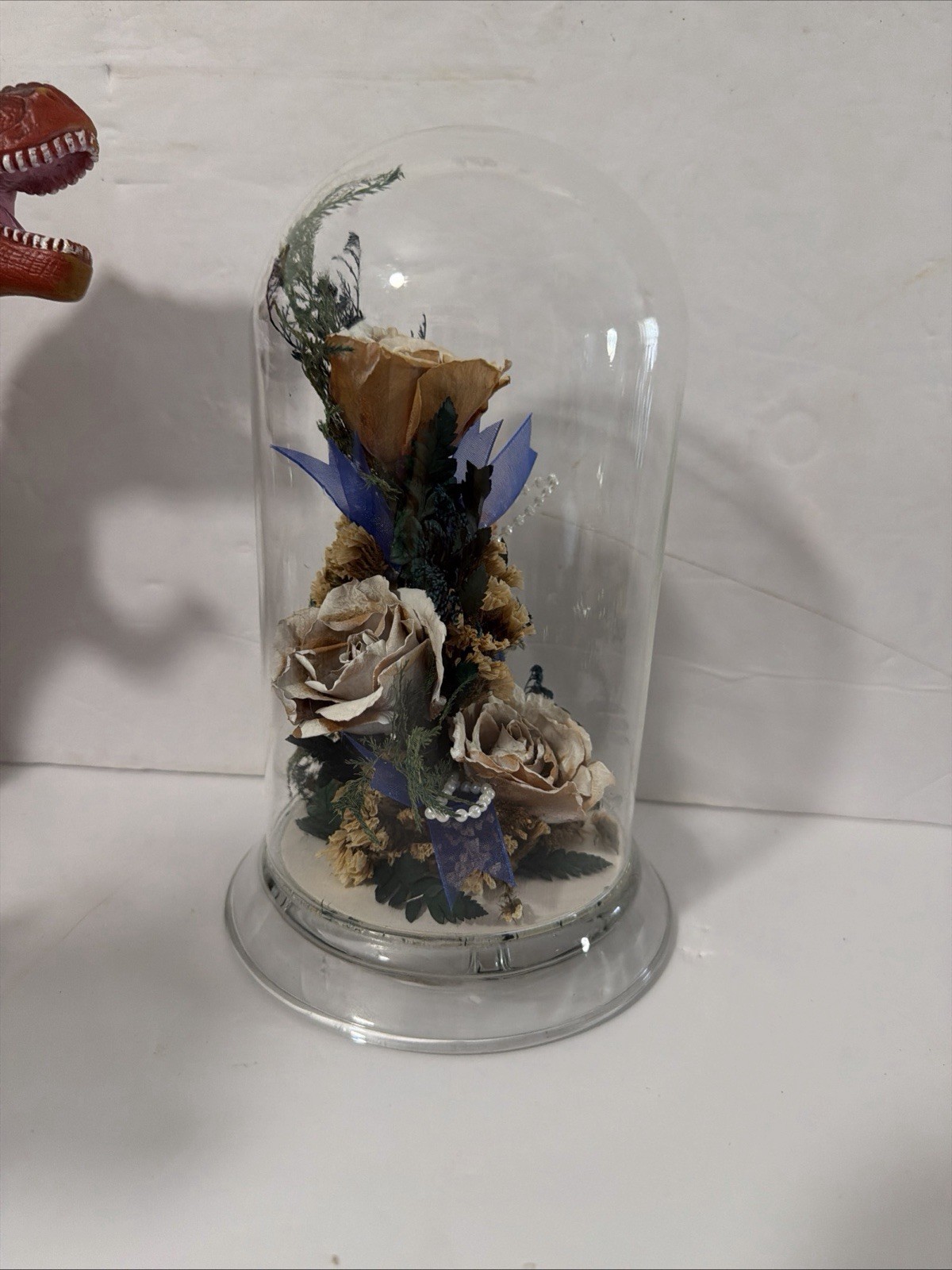 Natural Expressions Real Freeze Dried Rose Floral Dome Glass Display 8”