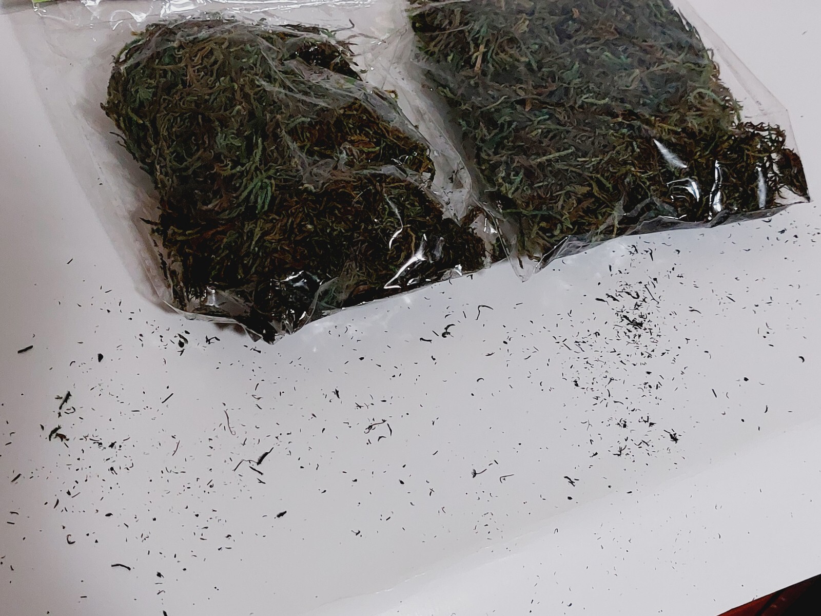 Lot of 2 Floral Garden Floral Moss 1.10 L Flower Arrangements Dioramas Village