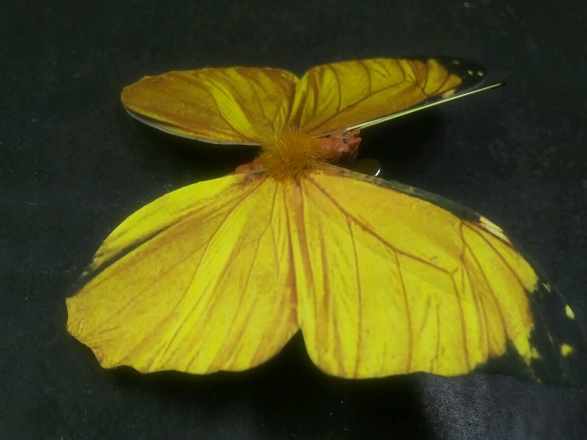 6 BUTTERFLIES 3D PAPER YELLOW REALISTIC CLIP ON DECORATIVE FLORAL HOME DECOR