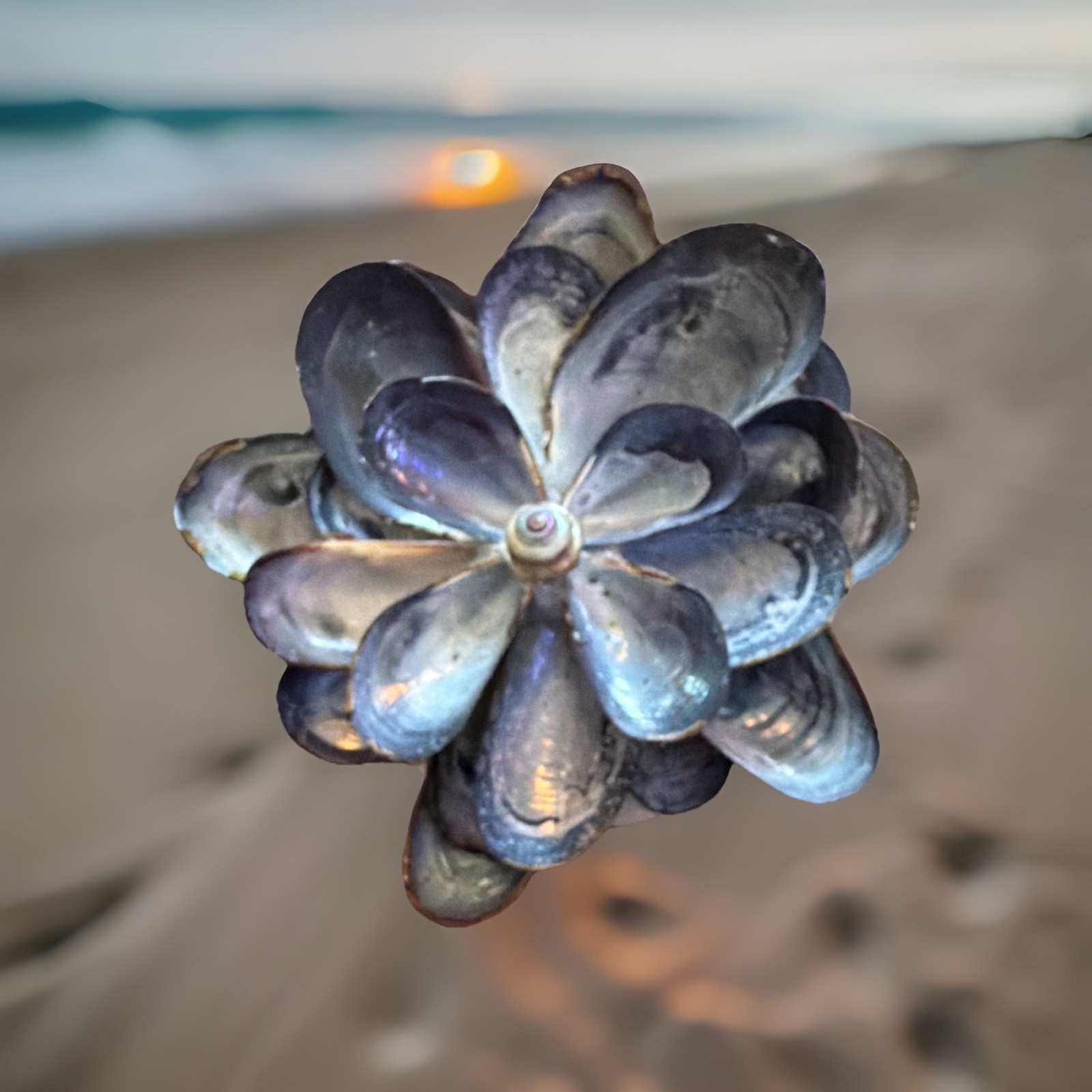 Handmade Sea shell flowers 30$ for this one Smaller ones 20$
